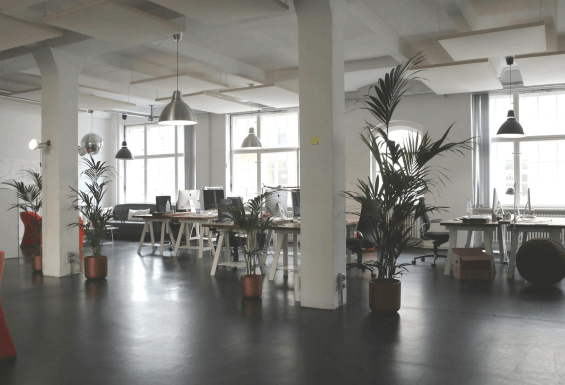 Espacio de oficina diáfano para rodaje de contenido empresarial